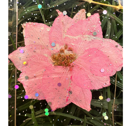Enflamo Soft Clear Flexible Silicone Pressed Dry Real Flowers Case Glitter Floral Back Cover for iPhone 12 | iPhone 12 Pro (Multicolor) - Enflamo Enflamo Soft Clear Flexible Silicone Pressed Dry Real Flowers Case Glitter Floral Back Cover for iPhone 12 | iPhone 12 Pro (Multicolor) - Enflamo